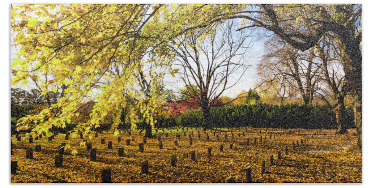 Lynchburg Bath Towel featuring the photograph Lynchburg Old City Cemetery in Autumn by Norma Brandsberg