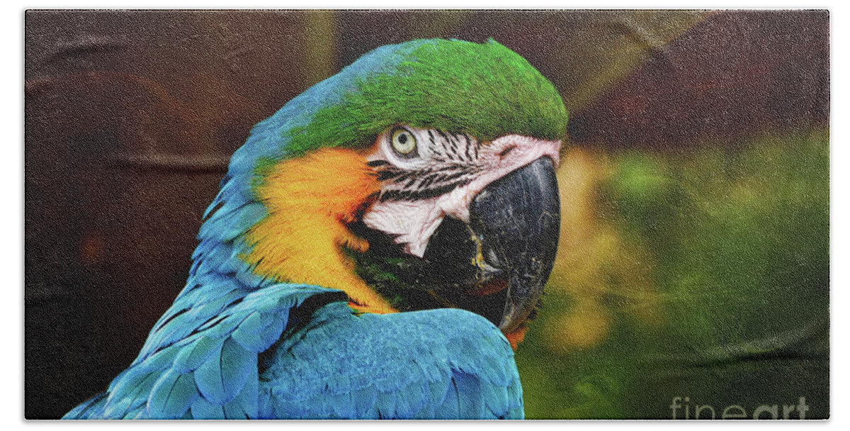 Macaw Hand Towel featuring the photograph Macaw Portrait by Kathy Baccari