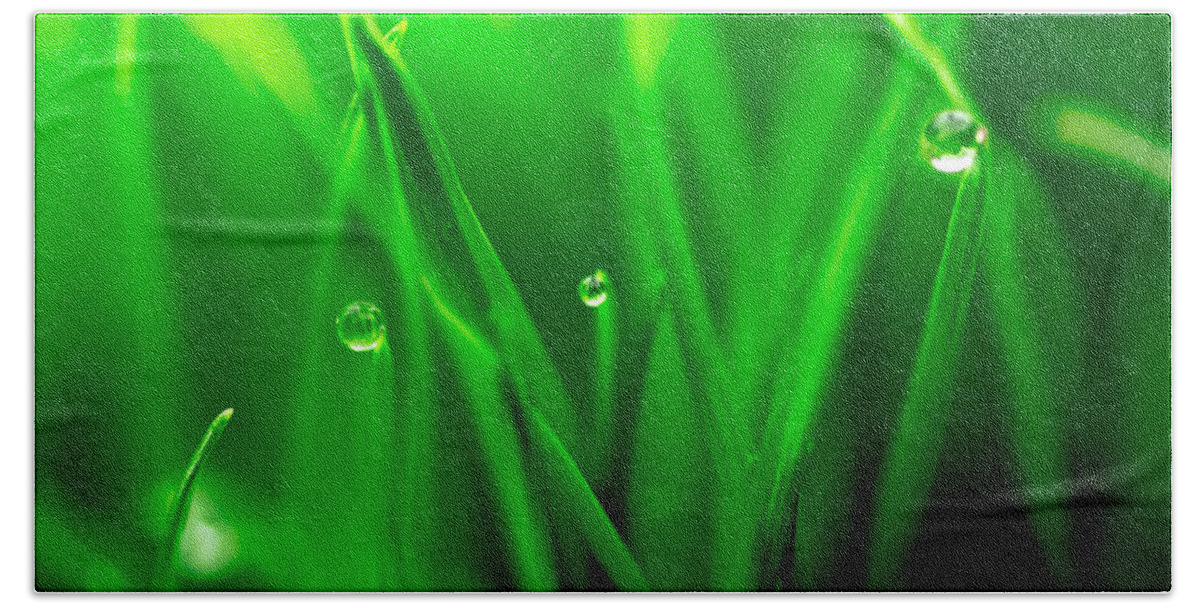 Background Hand Towel featuring the photograph Macro image of fresh green grass by John Williams