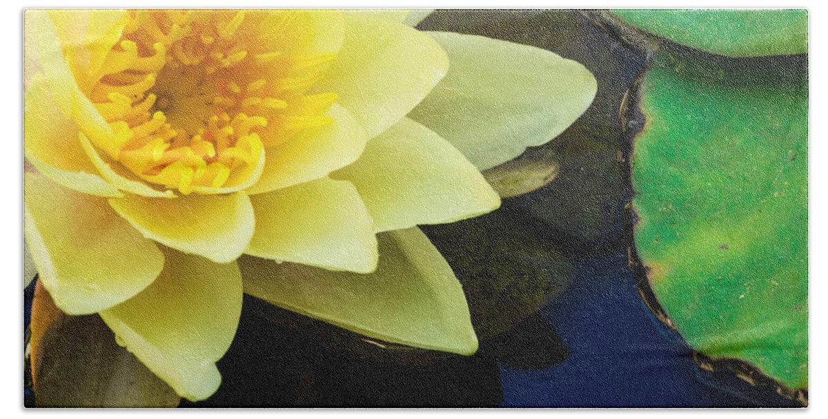 Yellow Water Lily Hand Towel featuring the photograph Macro Image of Yellow Water Lilly by John Williams
