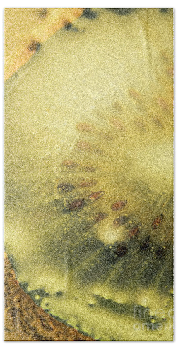 Kiwi Bath Towel featuring the photograph Macro shot of submerged kiwi fruit by Jorgo Photography