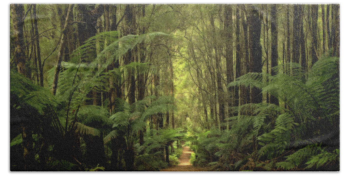 Rainforest Hand Towel featuring the photograph Magical Forest by Catherine Reading