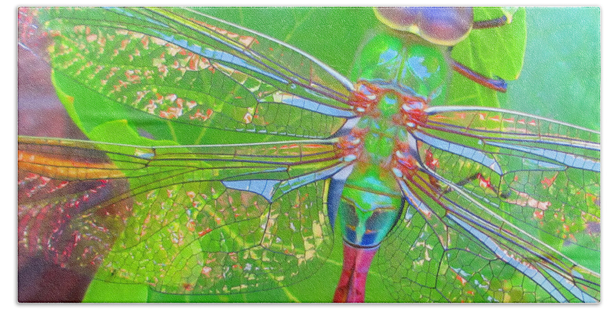 Claudia's Art Dream Bath Towel featuring the photograph Magnificent Dragonfly - Square Macro by Claudia Ellis