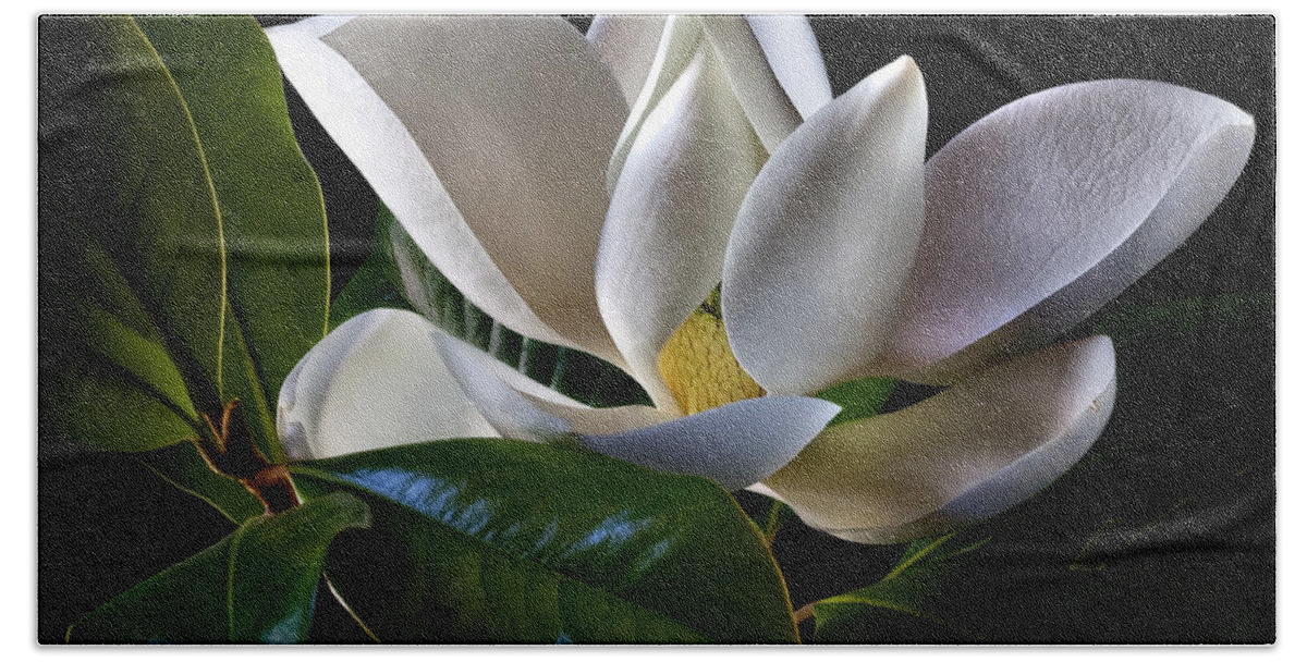 Flower Bath Towel featuring the photograph Magnolia by Endre Balogh