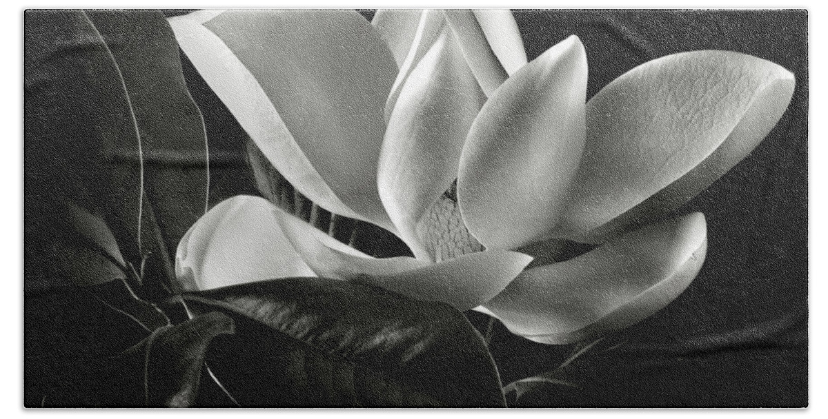 Flower Hand Towel featuring the photograph Magnolia in Black and White by Endre Balogh