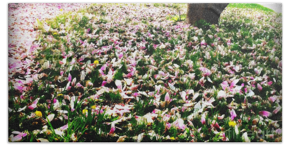 Photography Bath Towel featuring the photograph Magnolia Petals on the Lawn by Frank J Casella