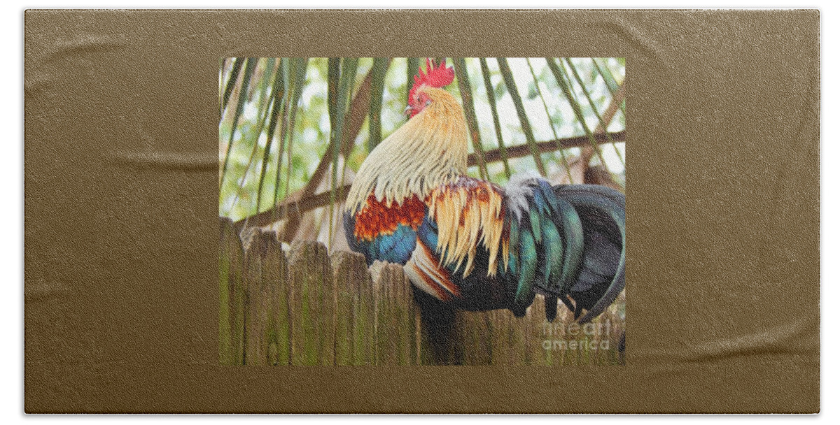 Rooster Bath Towel featuring the photograph Majestic by Jan Gelders