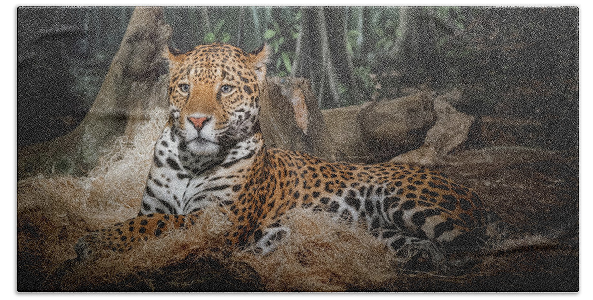 #faatoppicks Bath Sheet featuring the photograph Majestic Leopard by Scott Norris