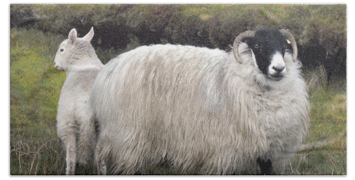 Sheep Hand Towel featuring the digital art Majestic Ram of Ireland by Vicki Lea Eggen