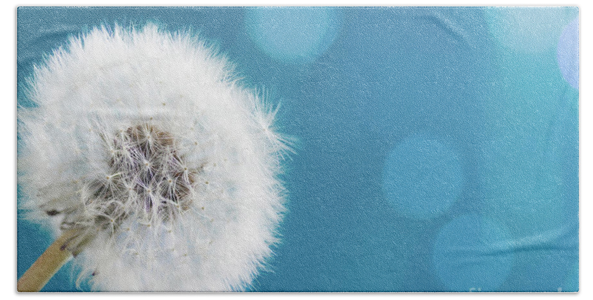 Dandelion Hand Towel featuring the photograph Make a wish by Anastasy Yarmolovich