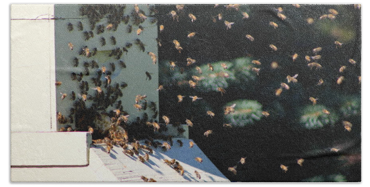 Honey Bee Bath Towel featuring the photograph Making Honey - Landscape by Colleen Cornelius