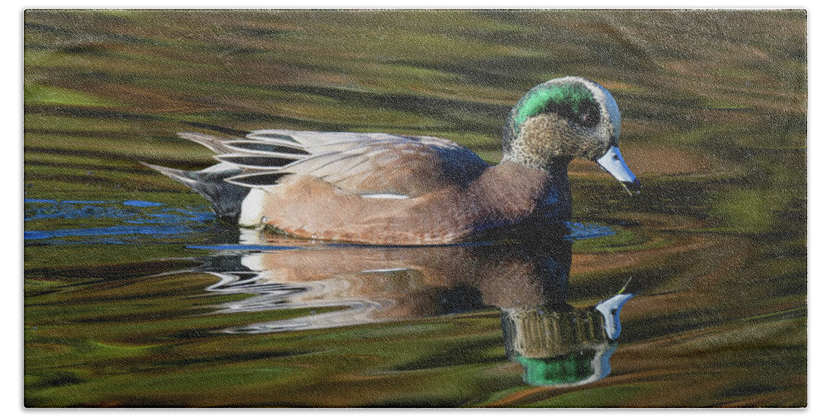 Duck Print Hand Towel featuring the photograph Male American Wigeon Against a Dark Background by Steve Samples