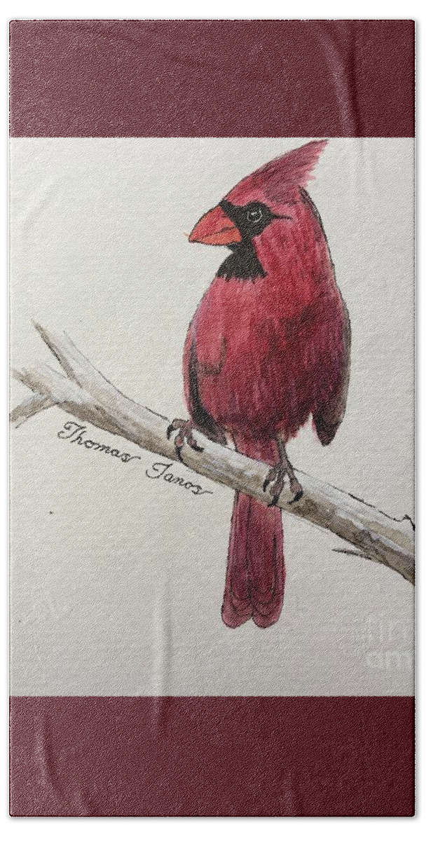 Cardinal Bath Towel featuring the painting Male Cardinal in winter by Thomas Janos