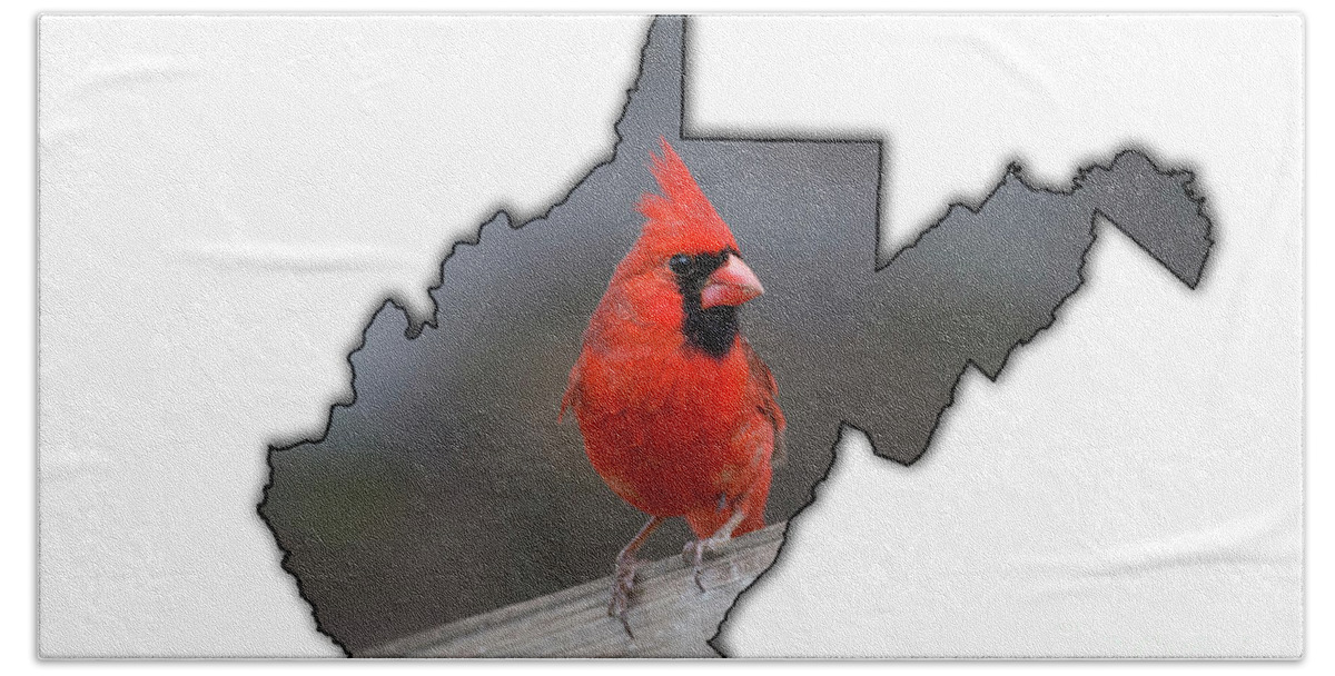 Male Hand Towel featuring the photograph Male cardinal one of the most recognizable birds by Dan Friend