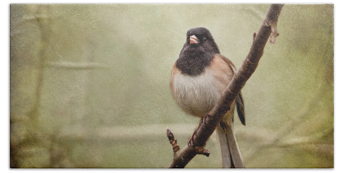 Junco Hand Towel featuring the photograph Male Dark-eyed Junco - 365-186 by Inge Riis McDonald