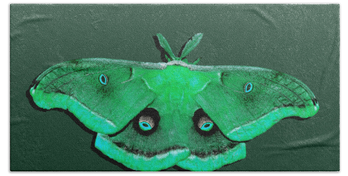 Polyphemus Moth Bath Towel featuring the photograph Male Moth Green .png by Al Powell Photography USA