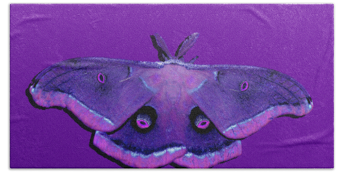 Polyphemus Moth Bath Towel featuring the photograph Male Moth Purple and Pink .png by Al Powell Photography USA