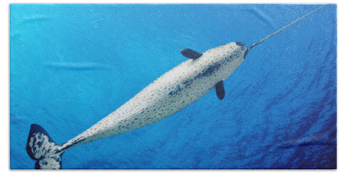 Aquatic Bath Towel featuring the photograph Male Narwhal by Dave Fleetham - Printscapes