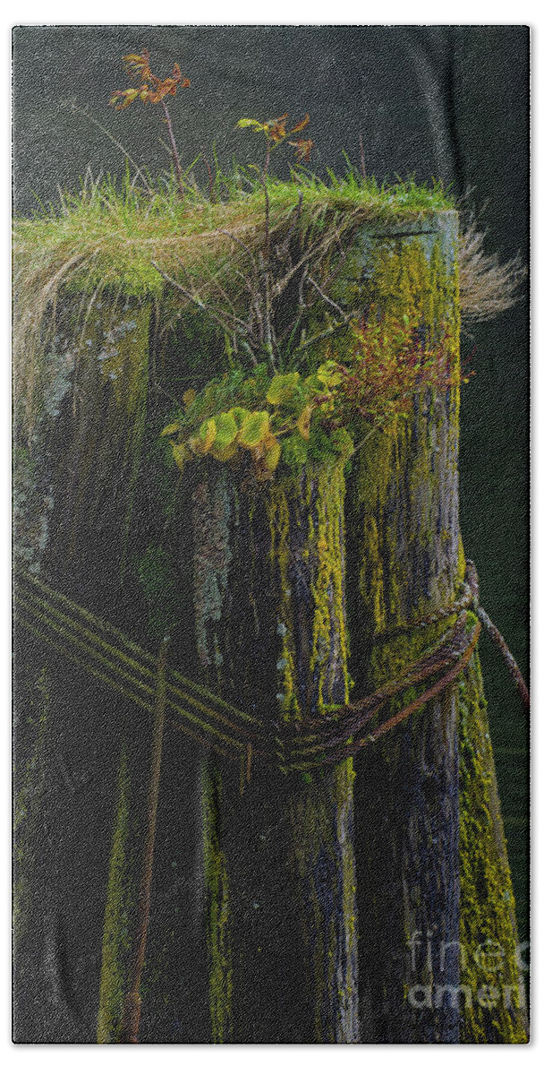 Ferns Bath Towel featuring the photograph Man Made Island-Signed-#2127 by J L Woody Wooden