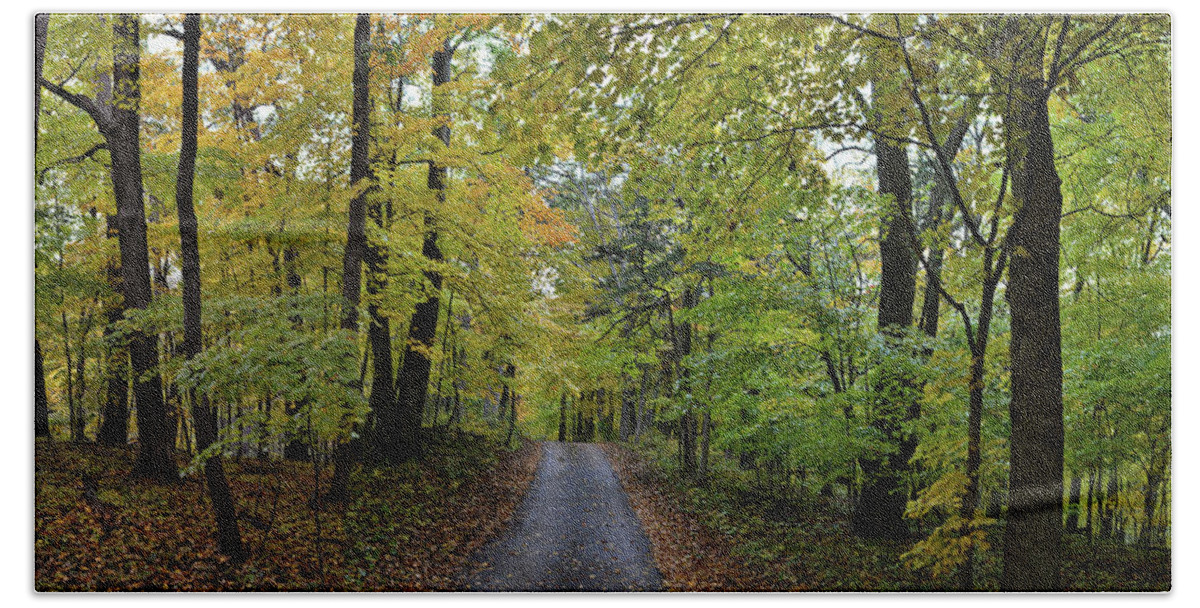 Autumn Bath Towel featuring the photograph Maple Drive Panorama by Bonfire Photography