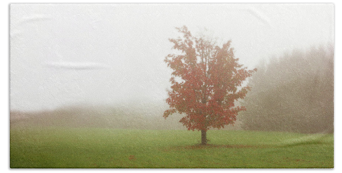 Maple Hand Towel featuring the photograph Maple Tree in Fog with Fall Colors by Brooke T Ryan