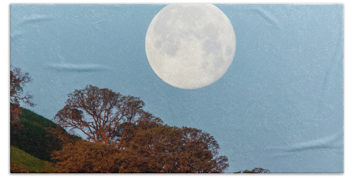 Landscape Hand Towel featuring the photograph March Moonset by Marc Crumpler