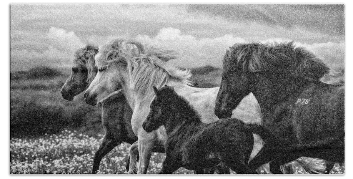 Flatlandsfoto Hand Towel featuring the photograph March of the Mares by Joan Davis