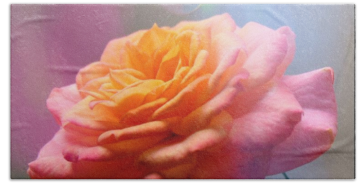 Rose Bath Towel featuring the photograph Marie's rose by MaryLee Parker