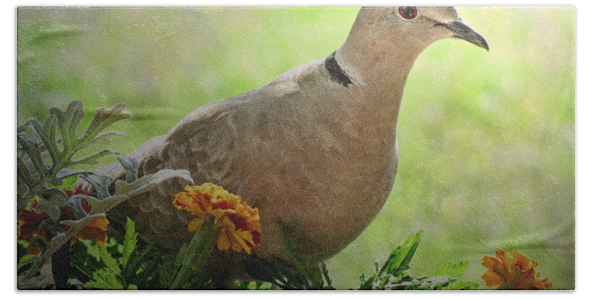 Dove Hand Towel featuring the photograph Marigold Dove by Debbie Portwood