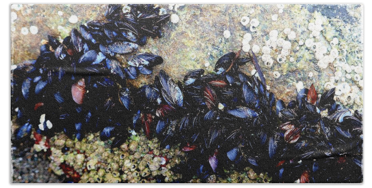 Marine Life Bath Towel featuring the photograph Marine Mussels by Kathleen Voort