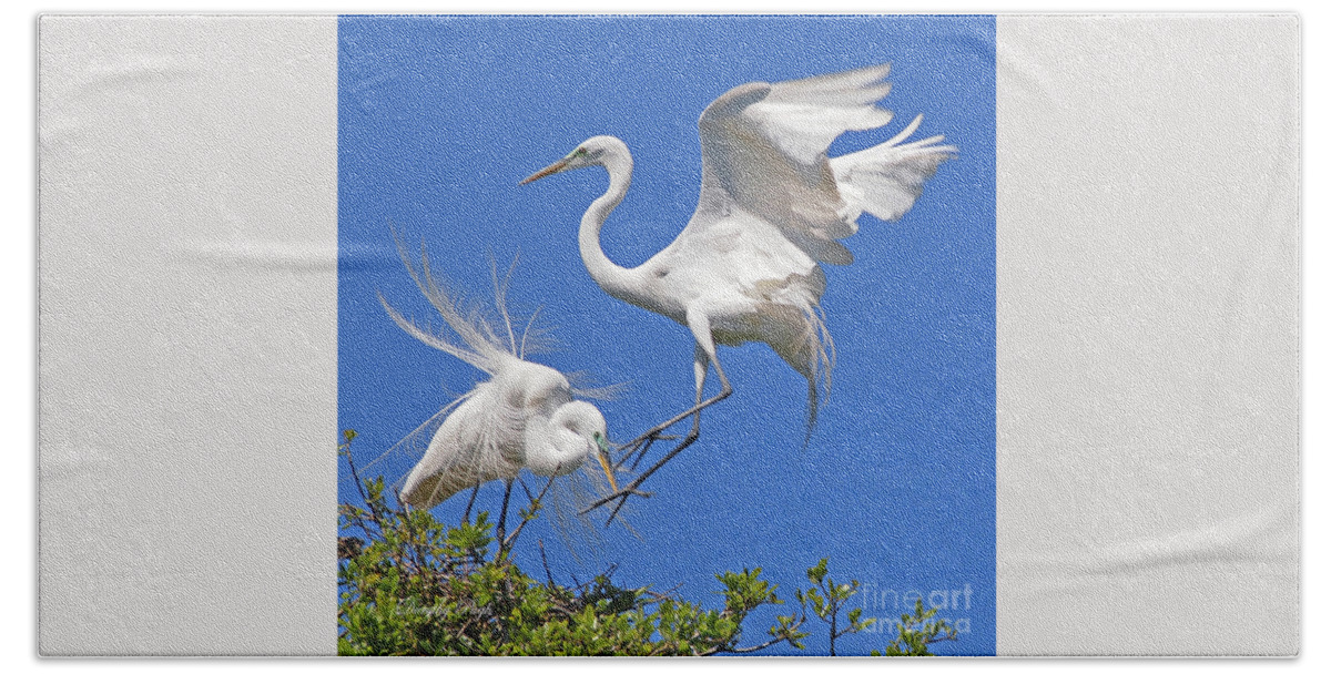 Birds Hand Towel featuring the photograph Mating Dance by Dorothy Pugh