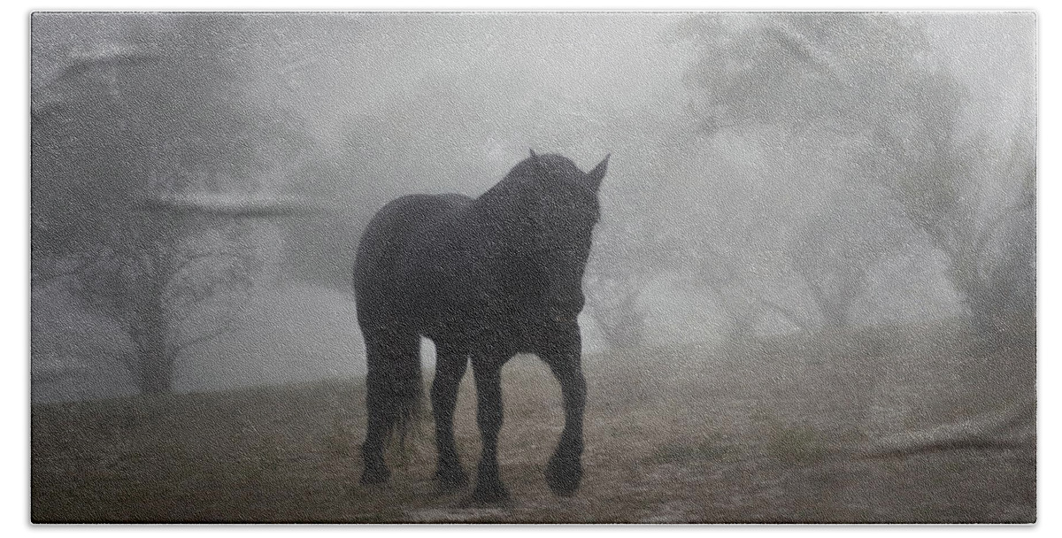 Horse Bath Towel featuring the photograph Medieval in the Mist by Amanda Smith