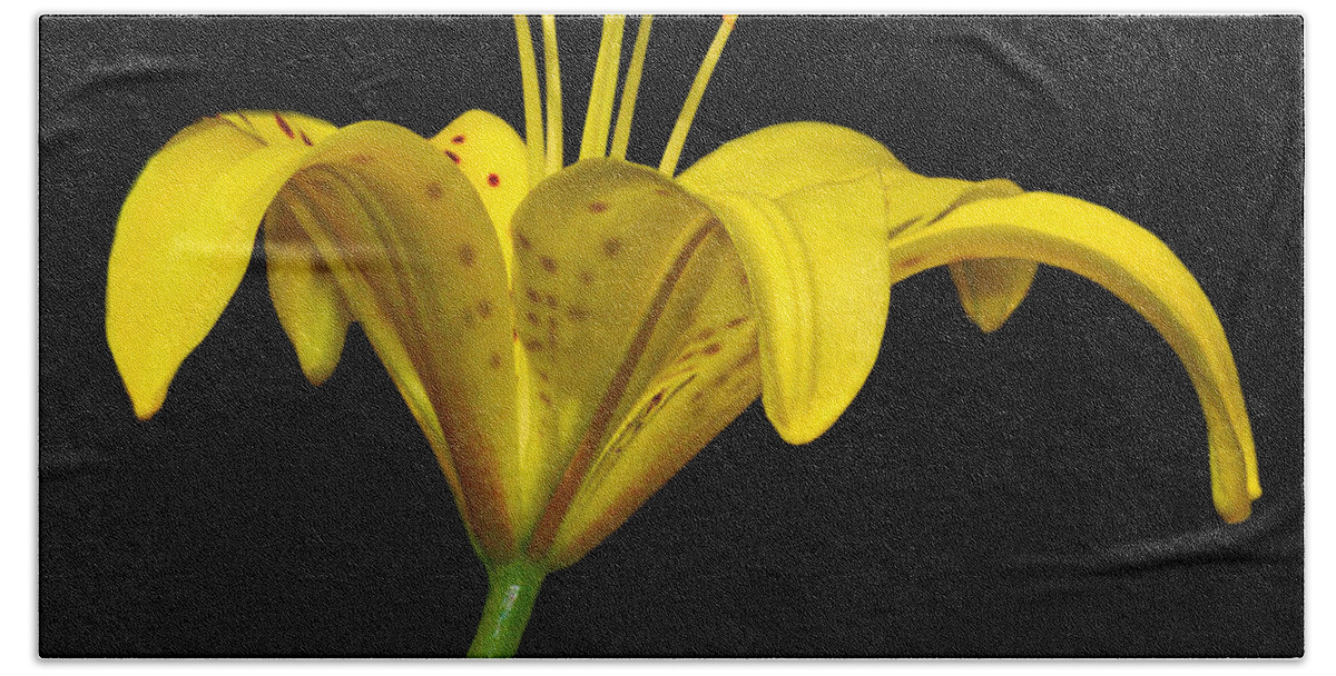 Flower Bath Sheet featuring the photograph Yellow Lily by John Absher