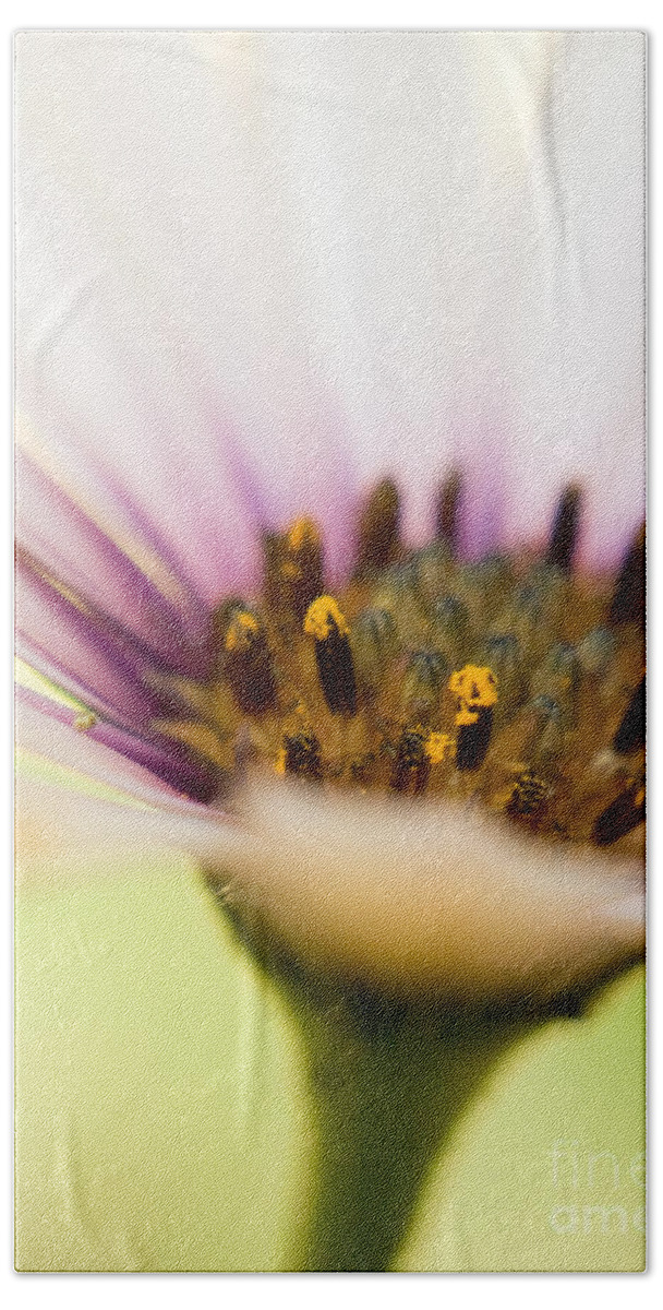 Flowers Bath Towel featuring the photograph Melon Symphony Macro 2 by Dorothy Lee