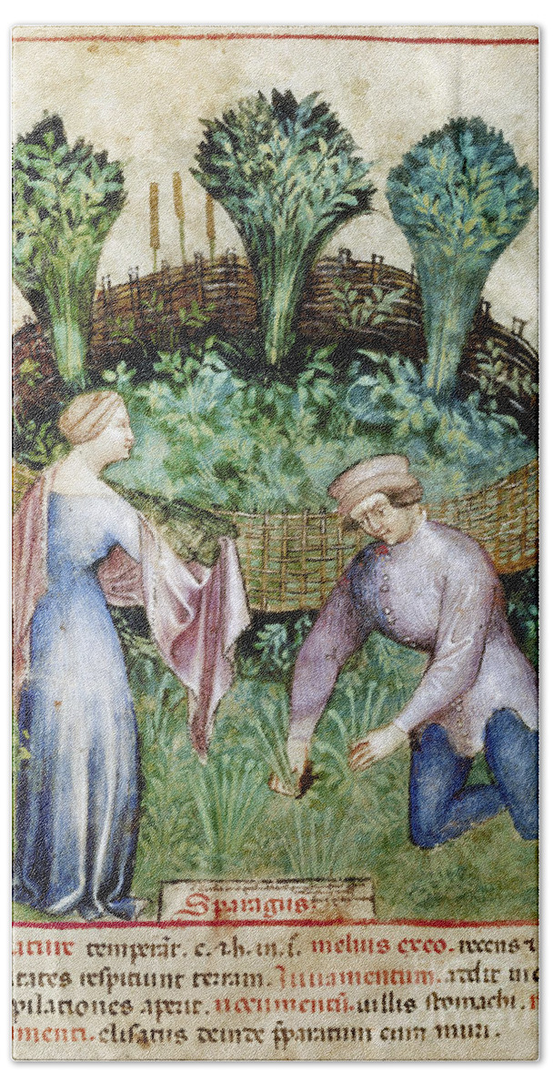 14th Century Bath Towel featuring the photograph MELONS, 14th CENTURY by Granger