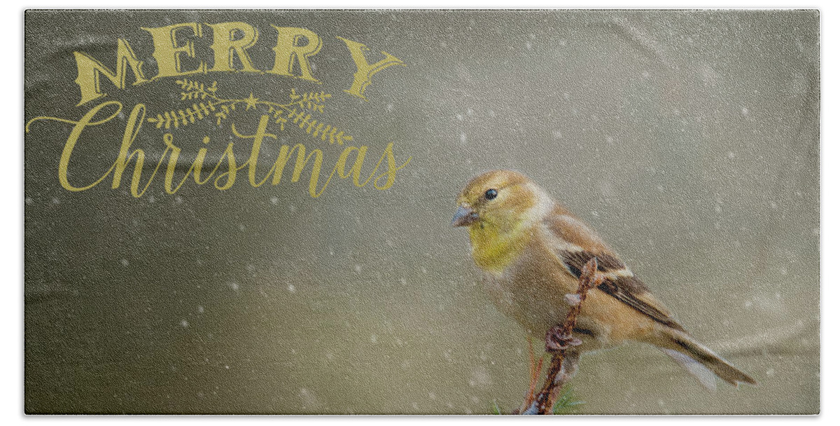 Winter Hand Towel featuring the photograph Merry Christmas Winter Goldfinch 1 by Cathy Kovarik