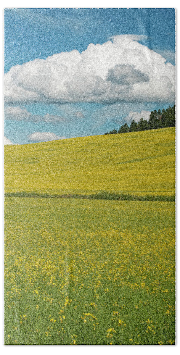 Outdoors Bath Towel featuring the photograph Mid July by Doug Davidson