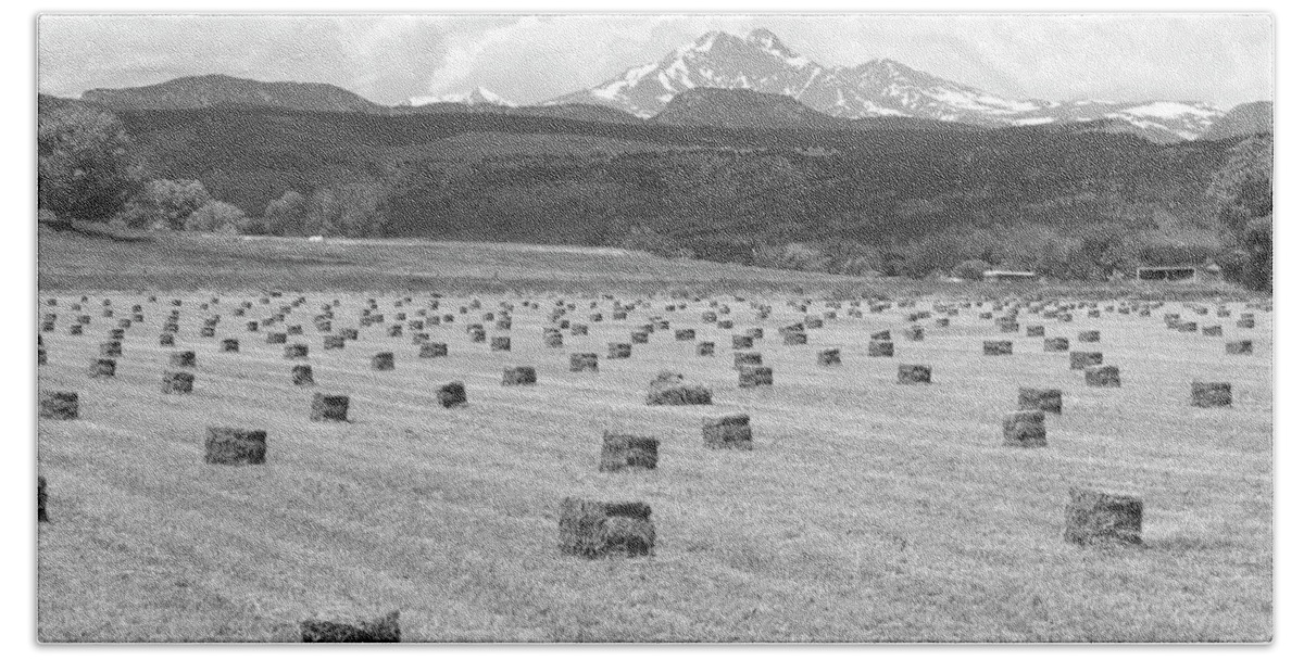 Country Bath Towel featuring the photograph Mid June Colorado Hay and the Twin Peaks Longs and Meeker BW by James BO Insogna