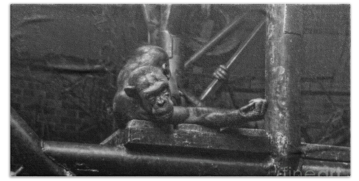 Maned Monkey Bath Towel featuring the photograph Mighty Joe Young by Doc Braham