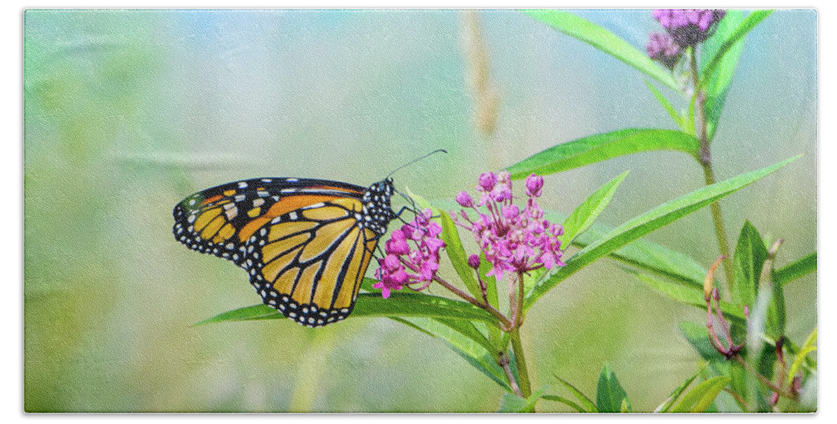 Butterfly Bath Towel featuring the photograph Mighty Monarch by Peg Runyan