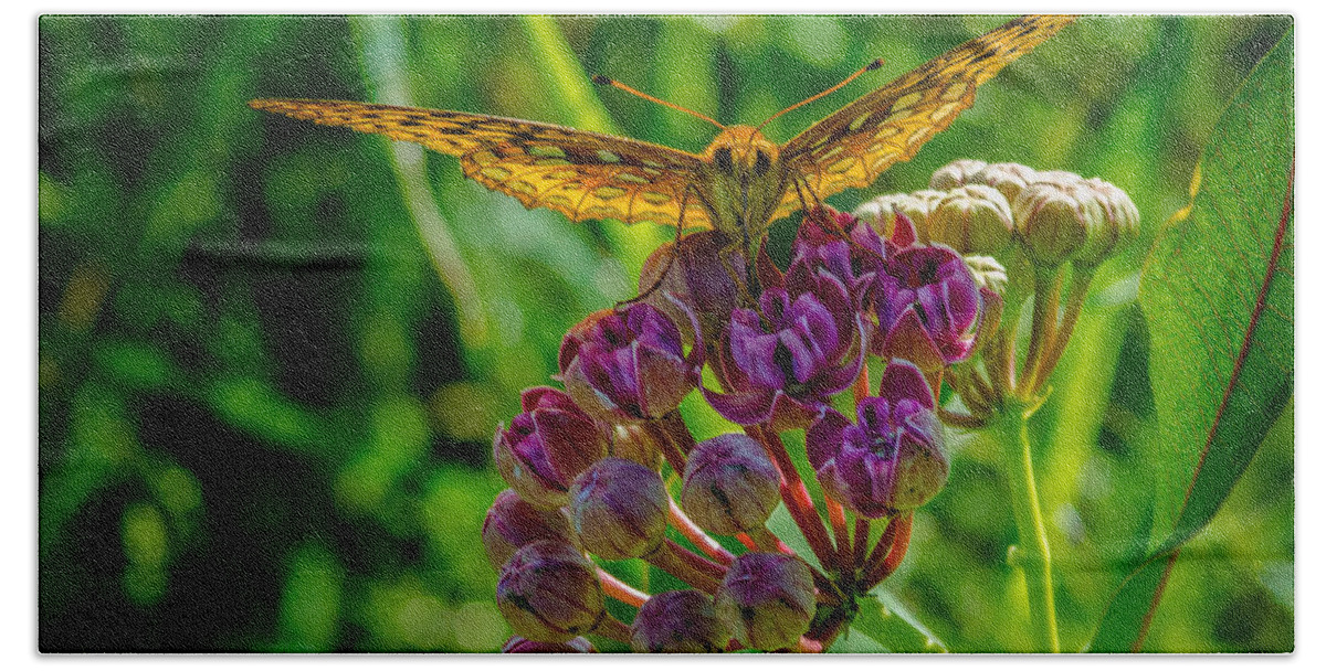 Insect Hand Towel featuring the photograph Milkweed Buffet by Jeff Phillippi