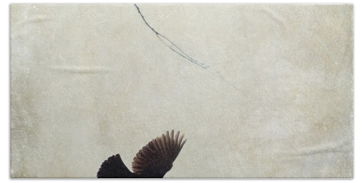 Bird. Texturres Hand Towel featuring the photograph Minimalistic Bird in Flight by Aimelle Ml