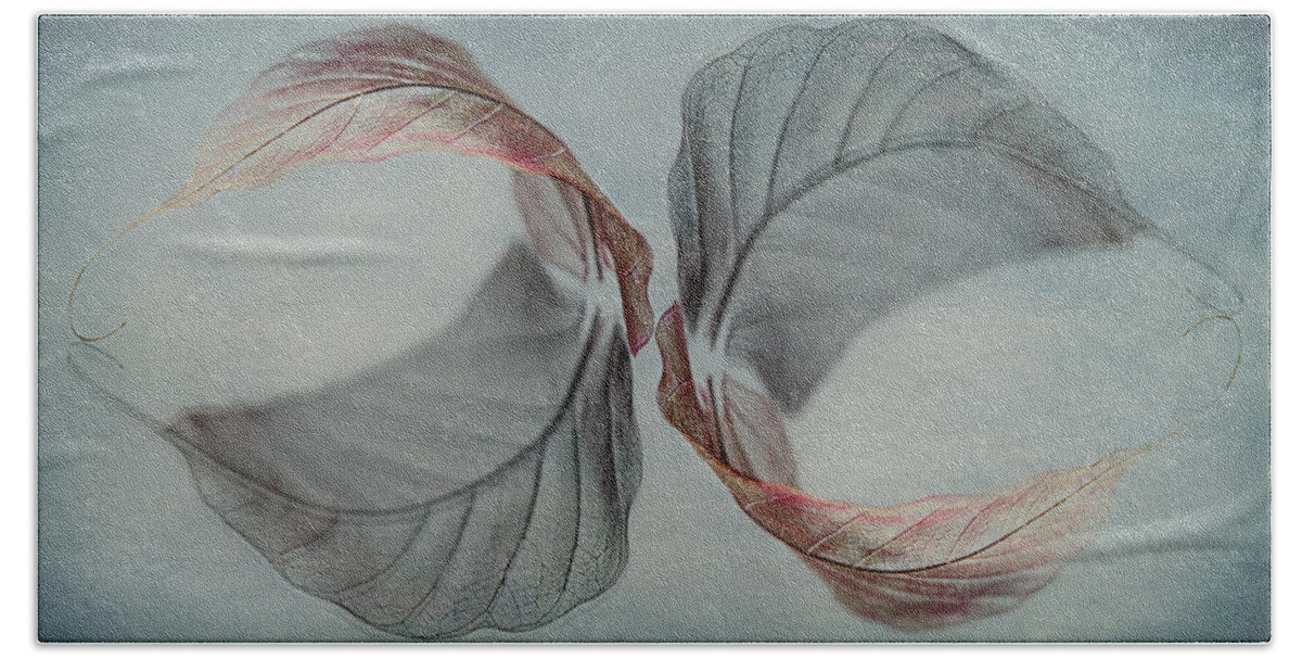 Leaf Bath Towel featuring the photograph Mirror Image by Maggie Terlecki