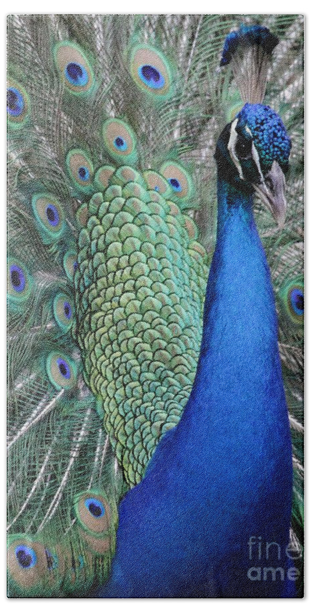 Peacock Bath Towel featuring the photograph Mister Peacock Too by Sabrina L Ryan