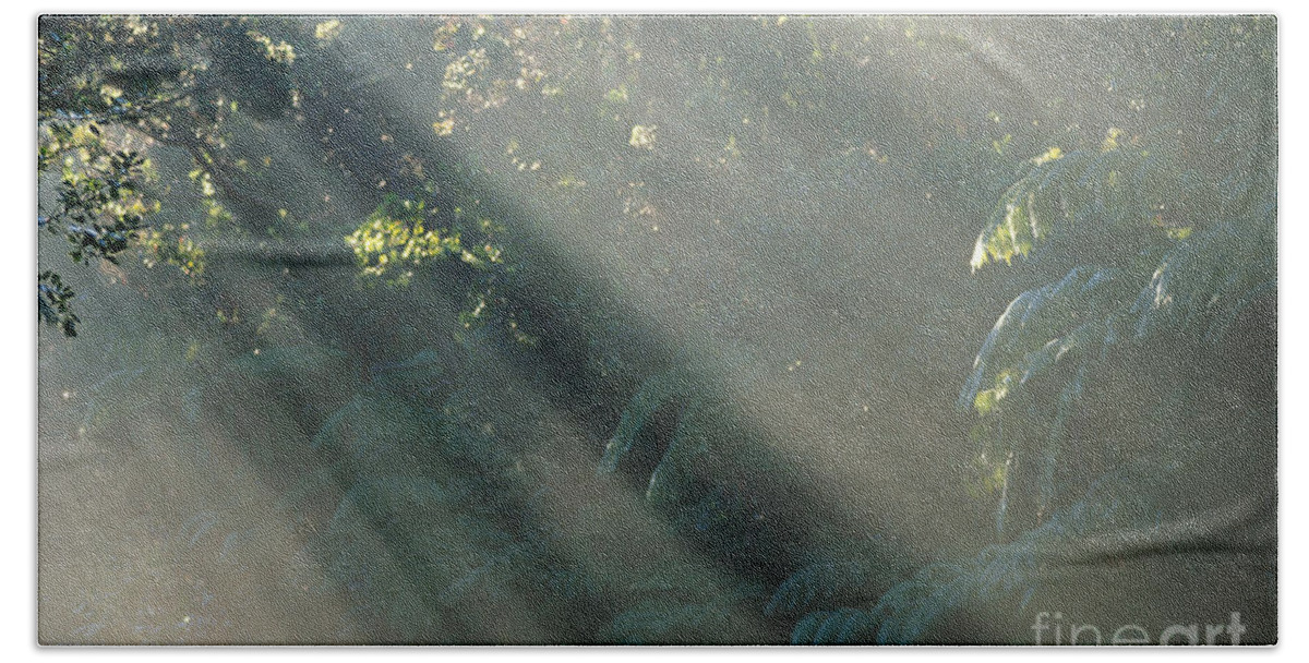 Afternoon Bath Towel featuring the photograph Misty Greenery by William Waterfall - Printscapes