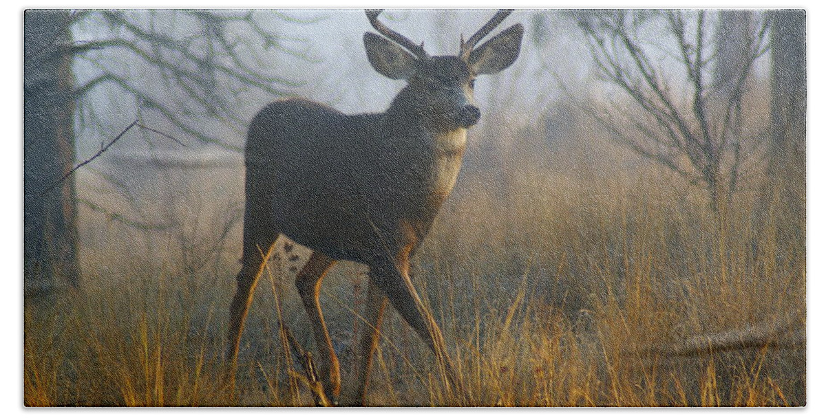 Deer Hand Towel featuring the photograph Misty Morning Buck by Ben Upham III