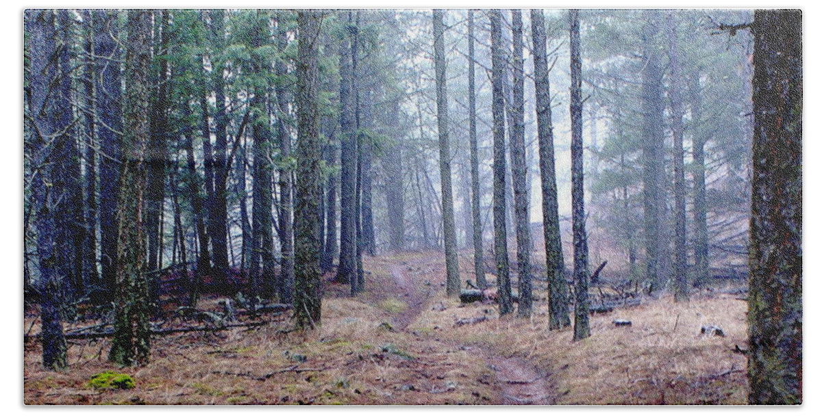 Nature Bath Towel featuring the photograph Misty Morning Trail in the Woods by Ben Upham III