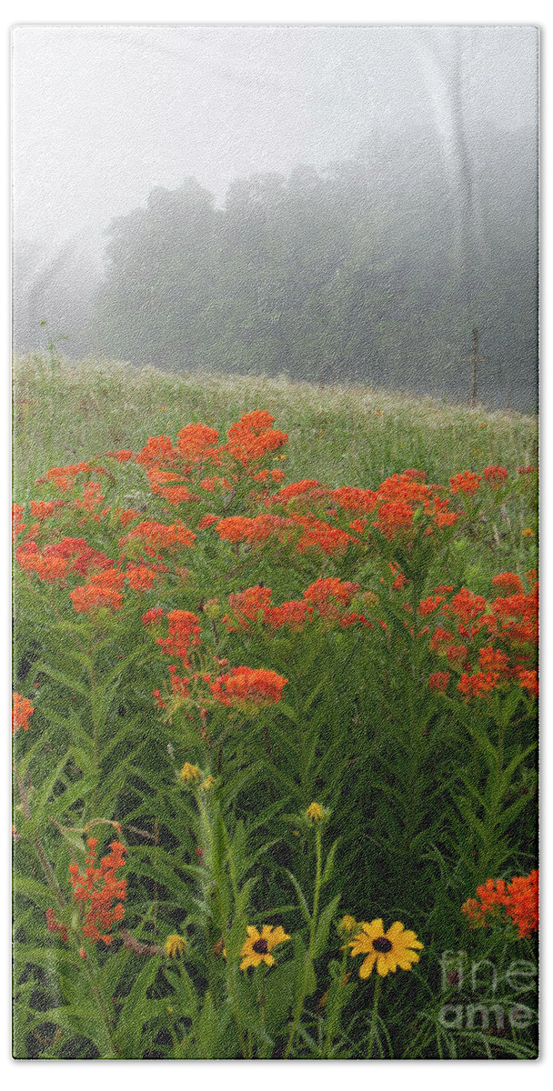 Butterfly Hand Towel featuring the photograph Misty Summer Morning - D010124 by Daniel Dempster