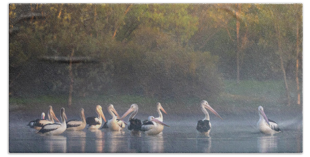 Pelicans Bath Towel featuring the photograph Misty Sunrise by Diana Andersen
