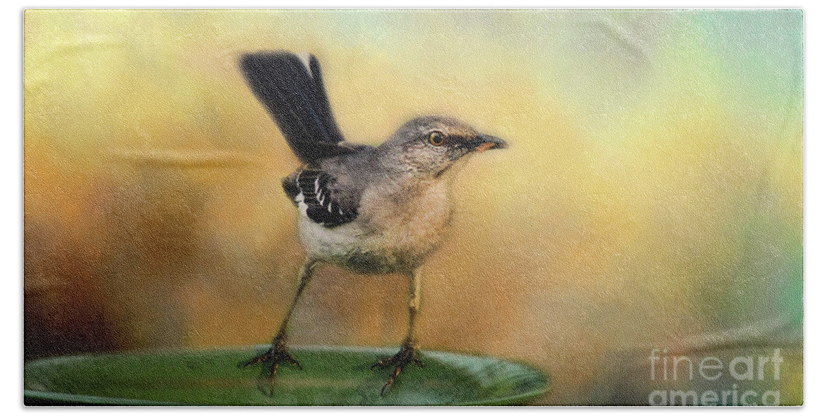 Meal Worm Bath Towel featuring the photograph Mockingbird by Darren Fisher